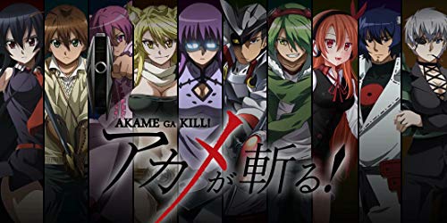  Wonderful Life A Japan Anime Poster - Akame ga Kill!アカメが斩る! - Tin Poster Tin Sign 12x6 inch